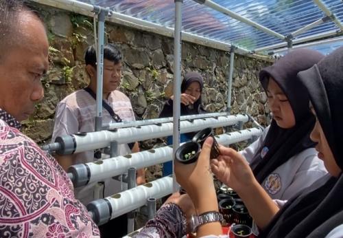 Kegiatan Profil Projek Pancasila - Hidroponik