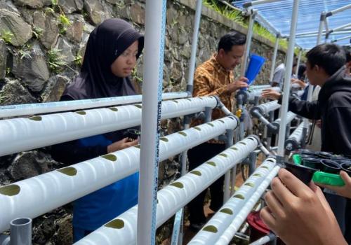Kegiatan Profil Projek Pancasila - Hidroponik